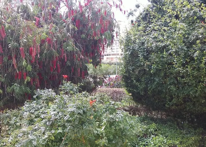 Primavera Sun Portimão